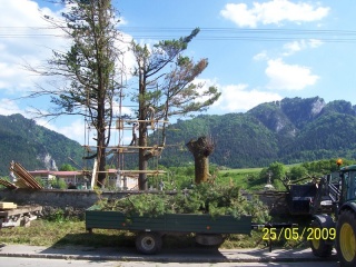 Blesk zničil stromy na cintoríne 26