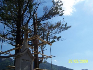 Blesk zničil stromy na cintoríne 24