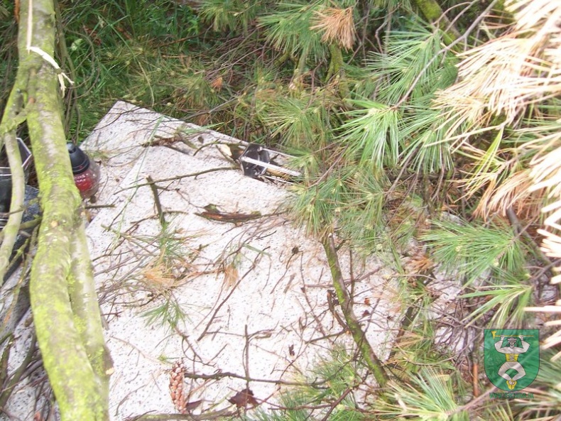 Blesk zničil stromy na cintoríne 46