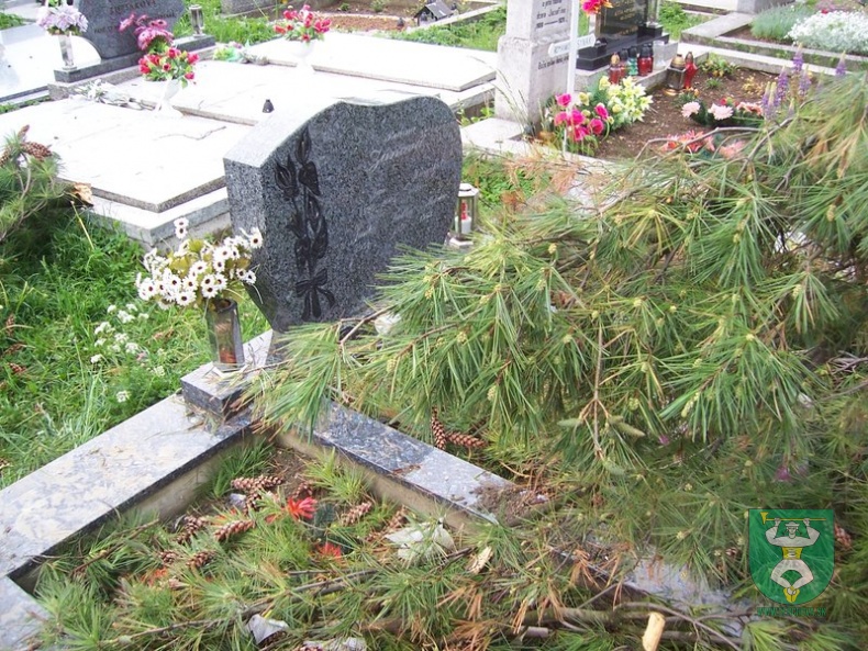 Blesk zničil stromy na cintoríne 42