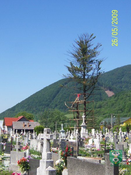 Blesk zničil stromy na cintoríne 14