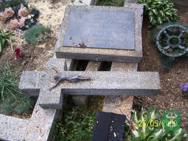 Blesk zničil stromy na cintoríne 31