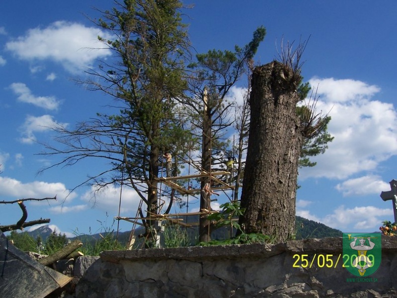 Blesk zničil stromy na cintoríne 25