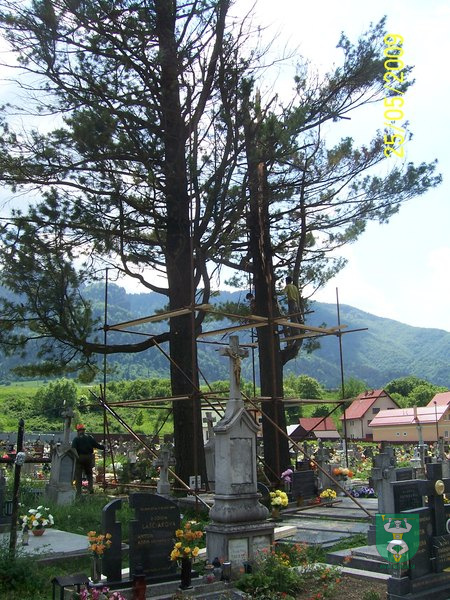 Blesk zničil stromy na cintoríne 35