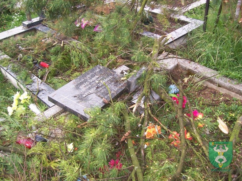Blesk zničil stromy na cintoríne 43