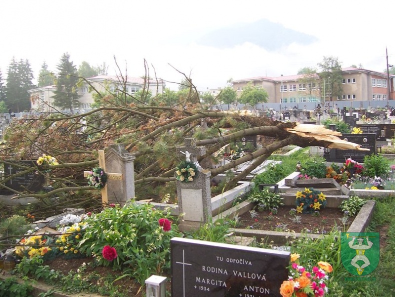 Blesk zničil stromy na cintoríne 50