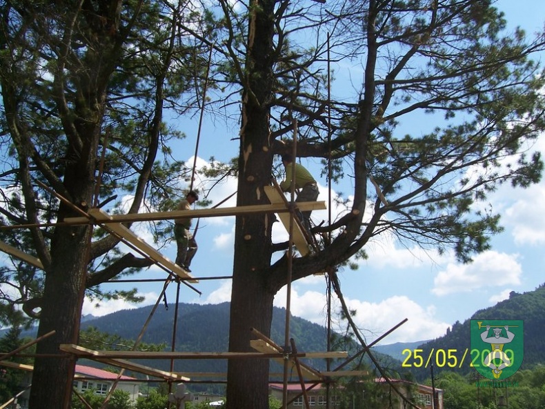 Blesk zničil stromy na cintoríne 32