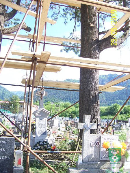 Blesk zničil stromy na cintoríne 21