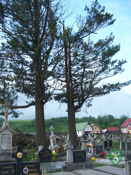 Blesk zničil stromy na cintoríne 12