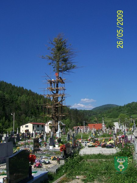 Blesk zničil stromy na cintoríne 8
