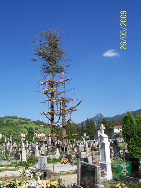 Blesk zničil stromy na cintoríne 9