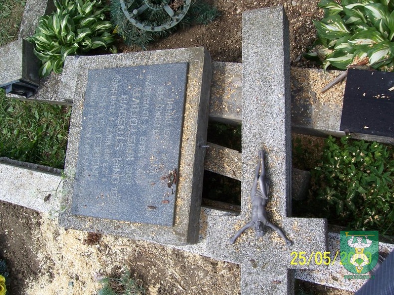 Blesk zničil stromy na cintoríne 30