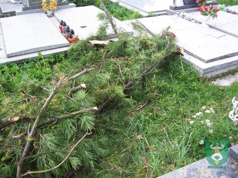 Blesk zničil stromy na cintoríne 41