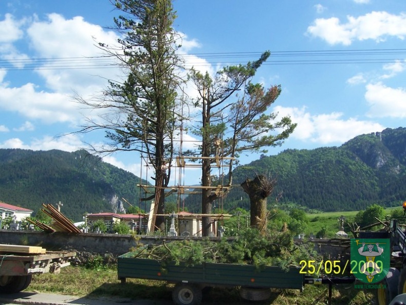 Blesk zničil stromy na cintoríne 28