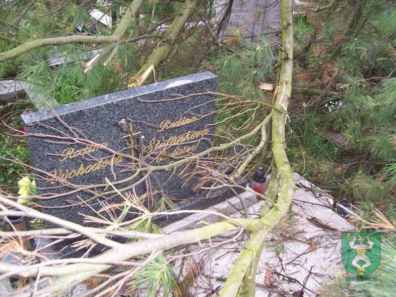 Blesk zničil stromy na cintoríne 47