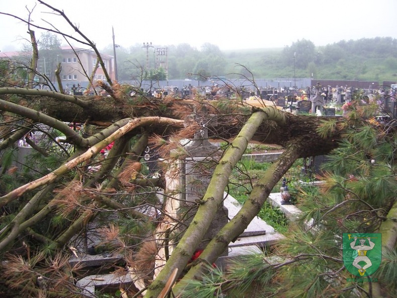 Blesk zničil stromy na cintoríne 37