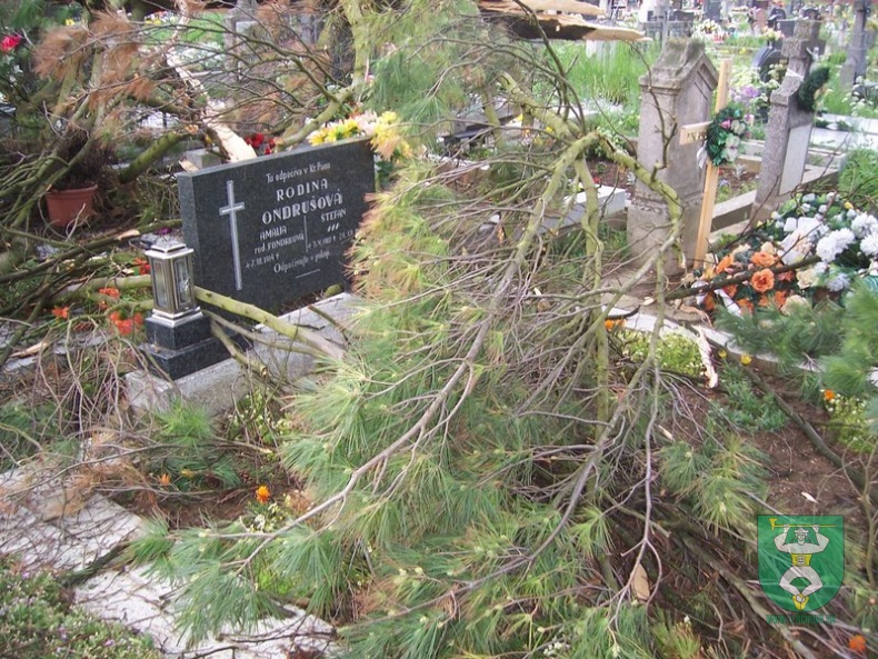 Blesk zničil stromy na cintoríne 6