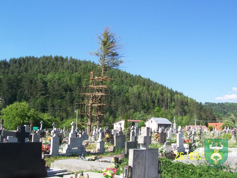 Blesk zničil stromy na cintoríne 7