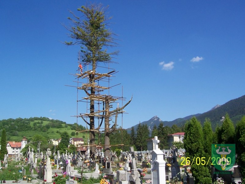 Blesk zničil stromy na cintoríne 11