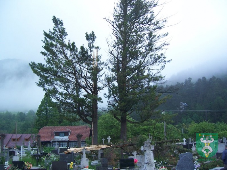 Blesk zničil stromy na cintoríne 39