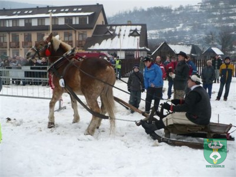Preteky gazdovských koní 26