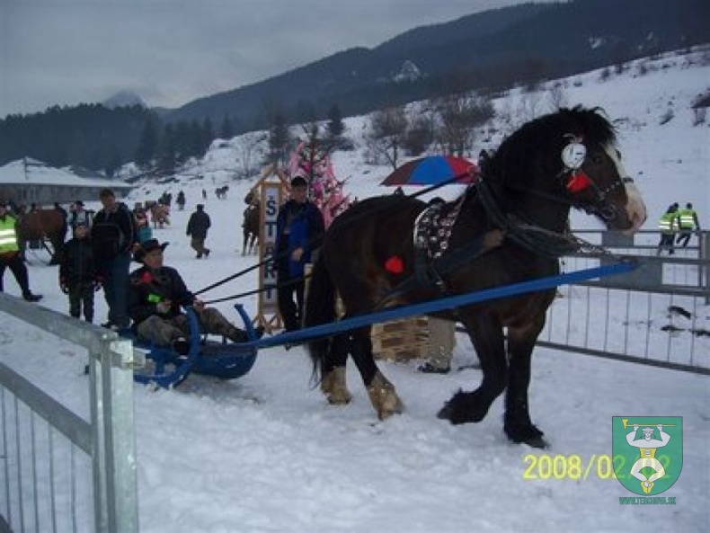 Preteky gazdovských koní 22