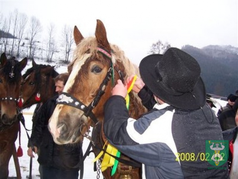 Preteky gazdovských koní 11