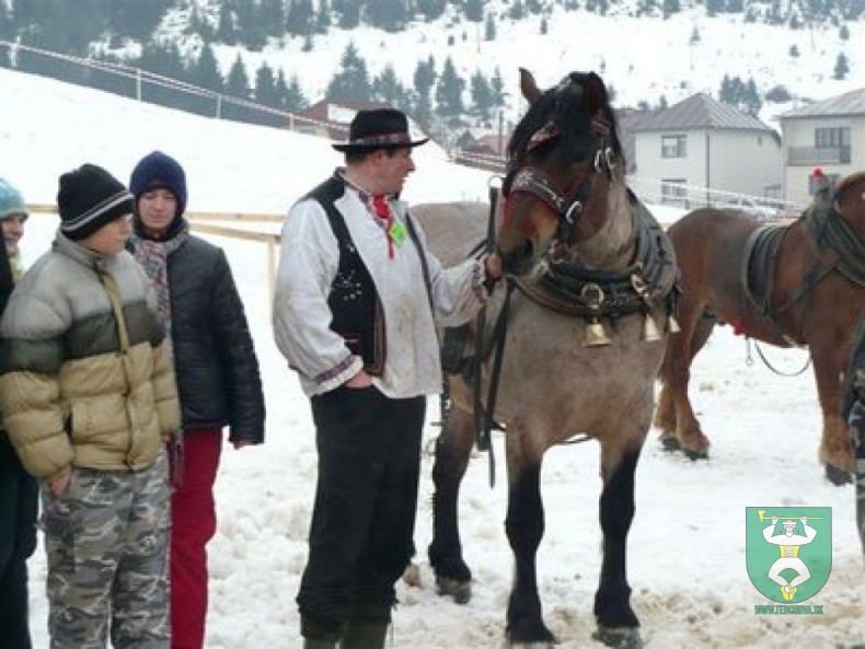 Preteky gazdovských koní 21