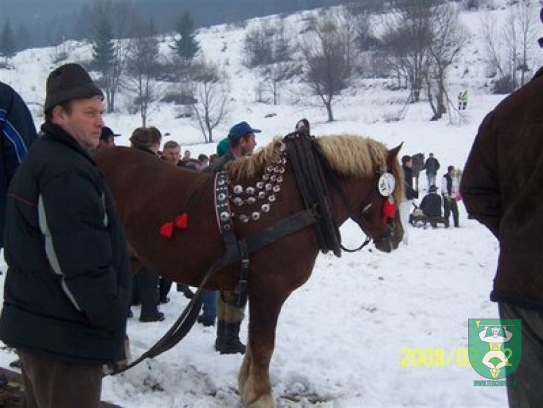 Preteky gazdovských koní 24