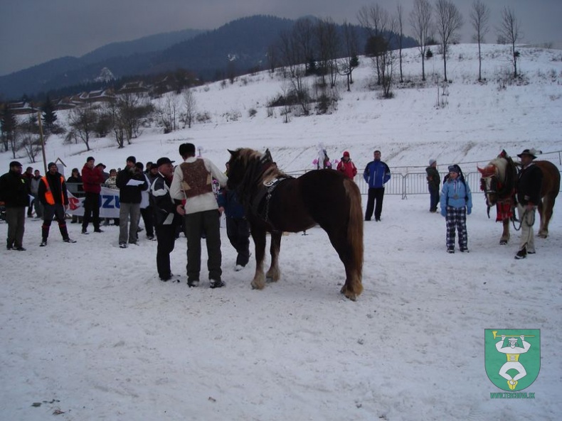 Gazdovské kone 10 23