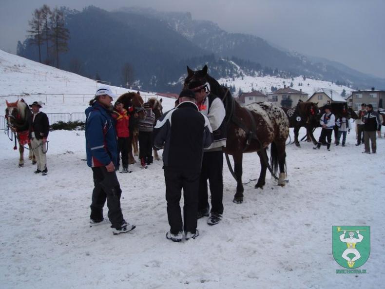 Gazdovské kone 10 26