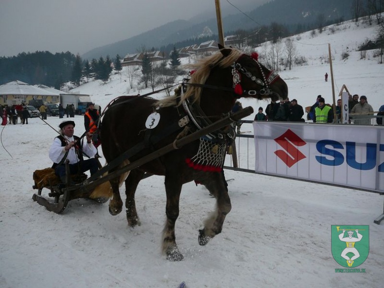 Gazdovské kone 58