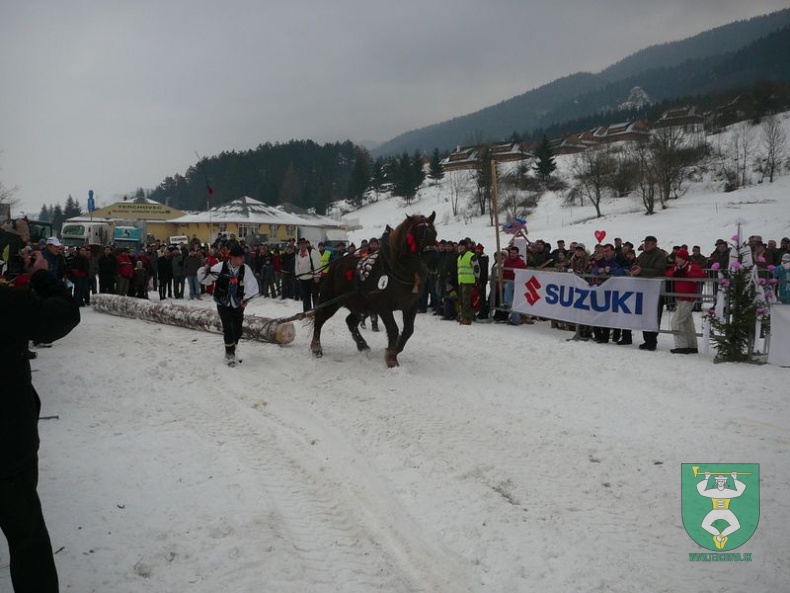 Gazdovské kone 98