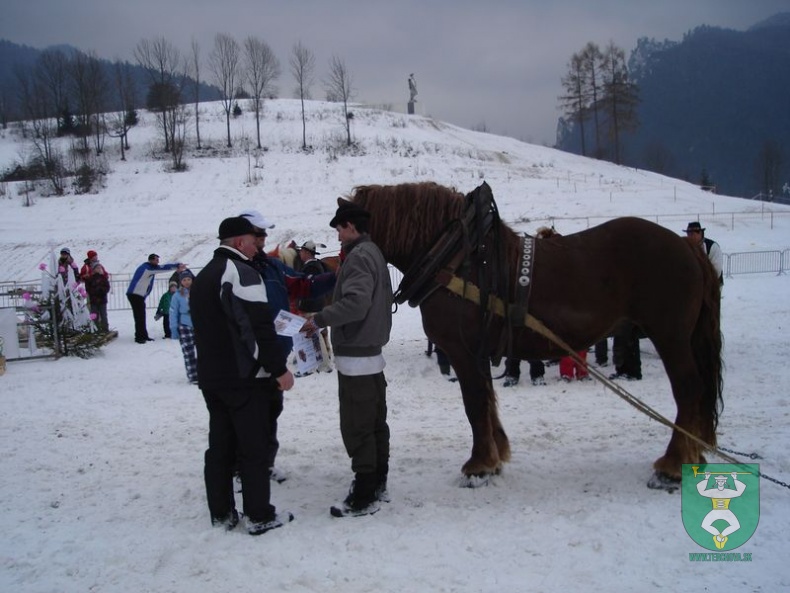 Gazdovské kone 10 22