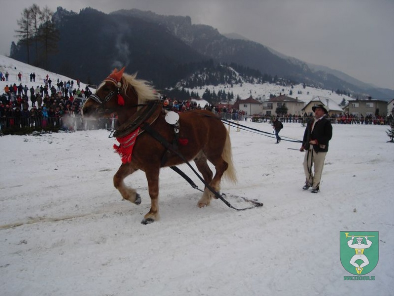 Gazdovské kone 10 37