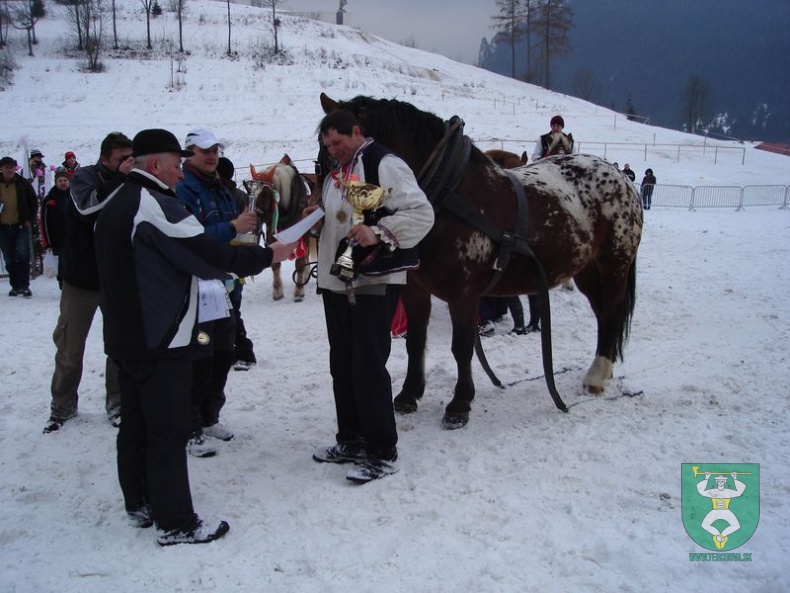 Gazdovské kone 10 35