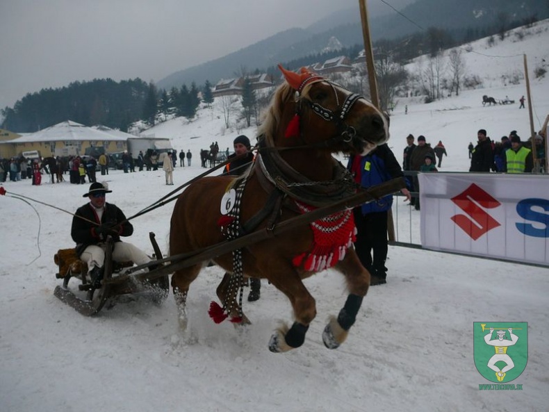 Gazdovské kone 60