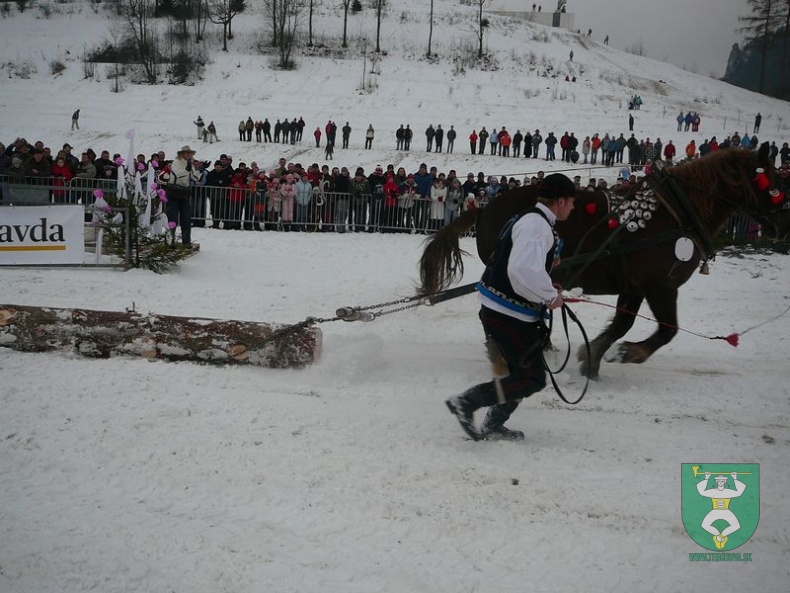 Gazdovské kone 99
