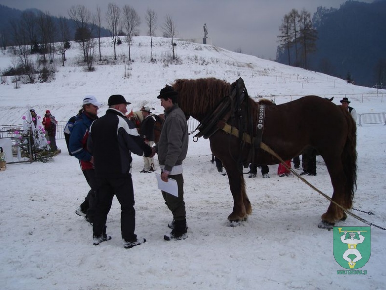 Gazdovské kone 10 21