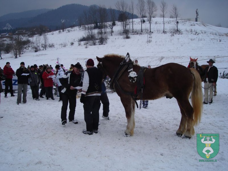 Gazdovské kone 10 25