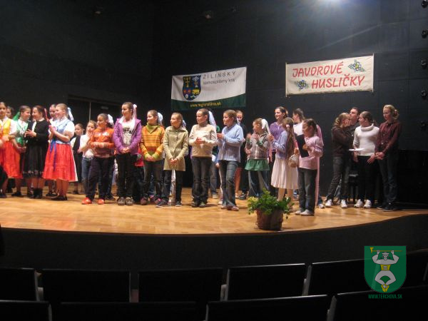 Javorové husličky 2010 6