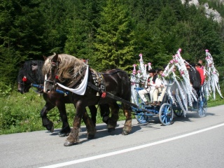 Jánošíkové dni 2010 83