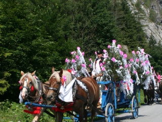 Jánošíkové dni 2010 84