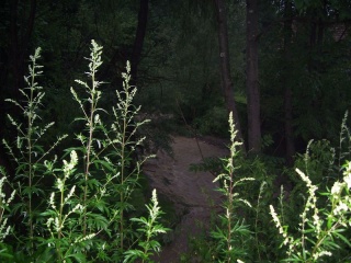 Povodne v Terchovej 53