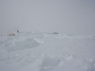 Aljaška 2010 72