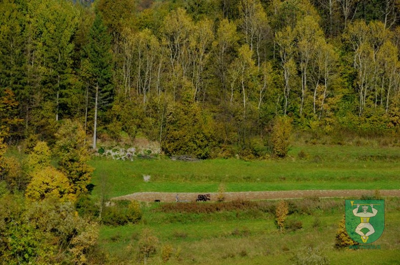 Jesenná slnečná atmosféra 20