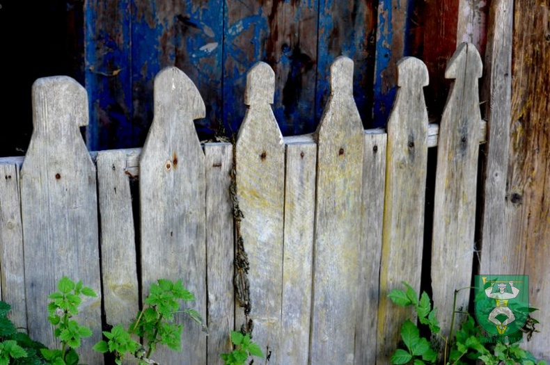 Jesenná slnečná atmosféra 13