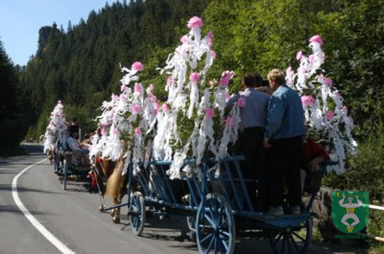 Nedeľa 13
