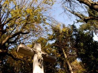 Jeseň v Terchovej 21