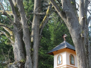 Jeseň v Terchovej 27